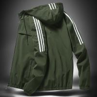 cms/erpbt/backend/web/uploads/erp/collection/images/Men Clothes/JIMANFEI/EN0136521/img_b/EN0136521_img_b_3